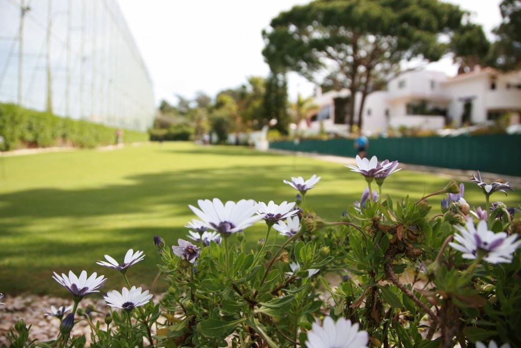 Barringtons Centro Desportivo Vale Do Lobo Διαμέρισμα Almancil Εξωτερικό φωτογραφία
